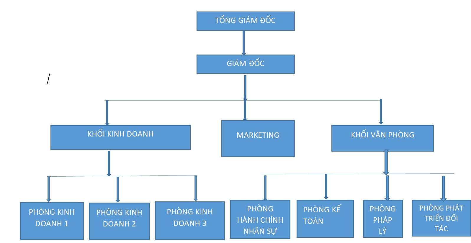Đội ngũ lãnh đạo công ty Bất động sản Green Dragon