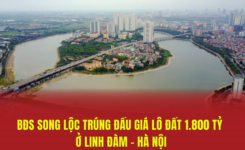 Công ty Cổ phần Đầu tư Bất động sản Song Lộc; Hồ sơ doanh nghiệp & năng lực đầu tư bất động sản